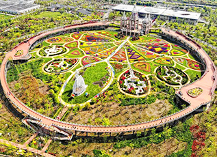 千赢国际(中国游)官方网站