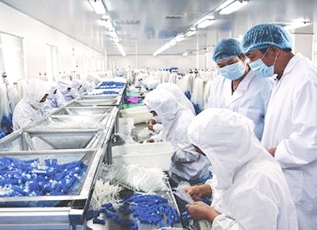 千赢国际(中国游)官方网站